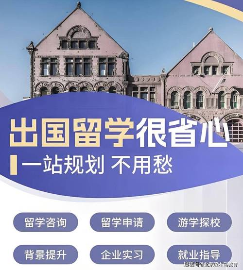 啄木鸟国际教育咨询 以专业团队与全方位设计，护航你的留学之路